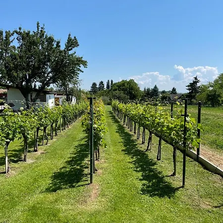 住宿加早餐酒店 Kukorica Csarda Balatonujlak