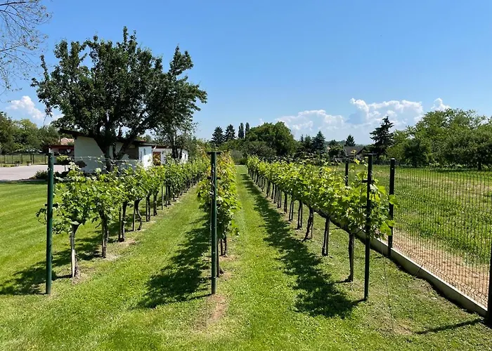 Bed & Breakfast Kukorica Csárda Balatonujlak